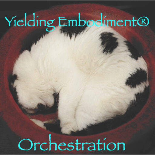Yielding Embodiment Orchestration